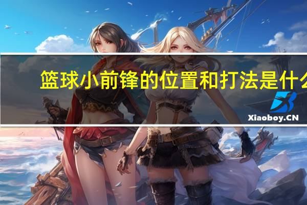 篮球小前锋的位置和打法是什么