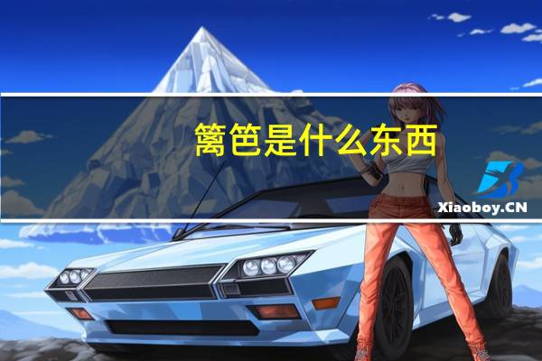 篱笆是什么东西