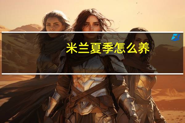 米兰夏季怎么养