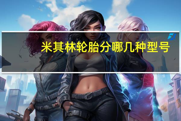 米其林轮胎分哪几种型号