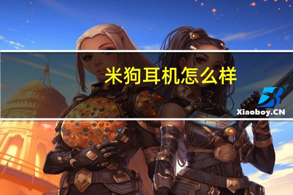 米狗耳机怎么样