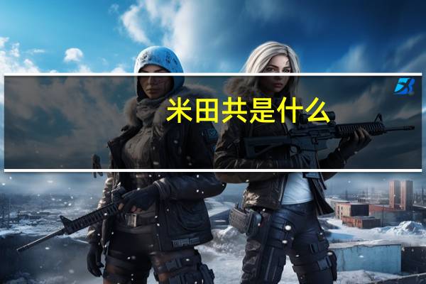 米田共是什么