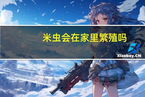 米虫会在家里繁殖吗