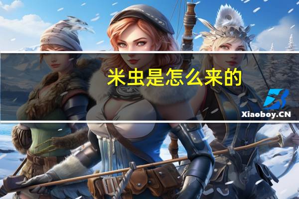 米虫是怎么来的