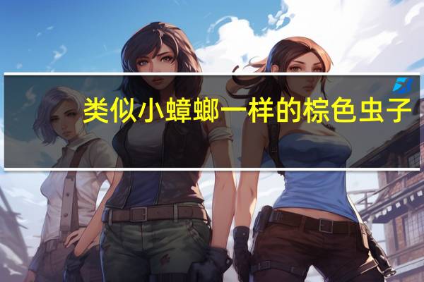 类似小蟑螂一样的棕色虫子