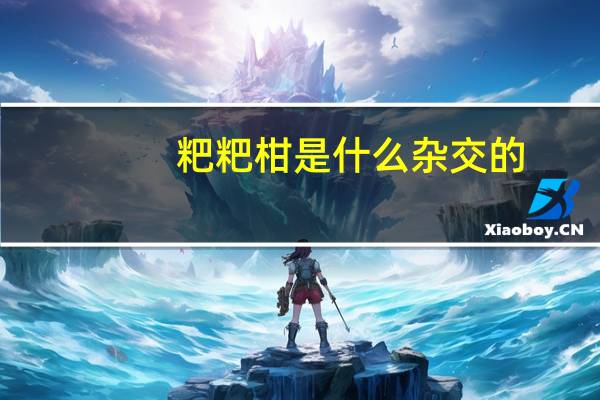 粑粑柑是什么杂交的
