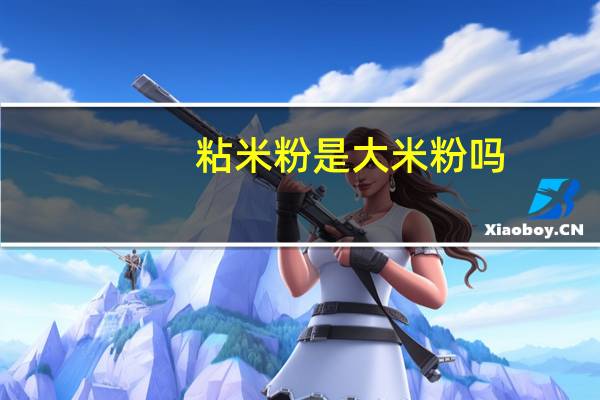 粘米粉是大米粉吗