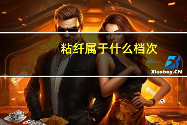 粘纤属于什么档次