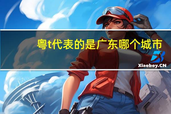 粤t代表的是广东哪个城市