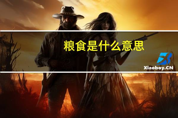 粮食是什么意思