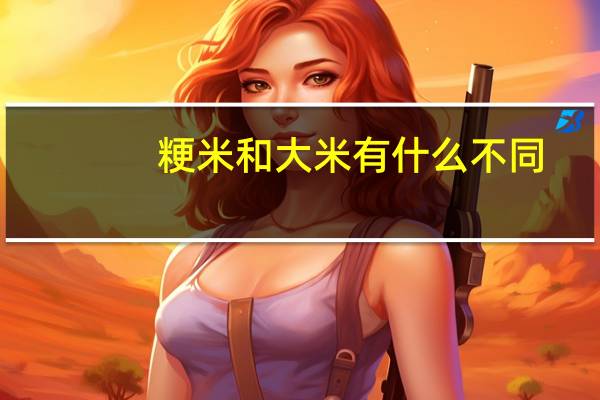 粳米和大米有什么不同