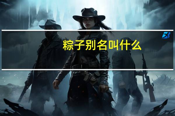 粽子别名叫什么