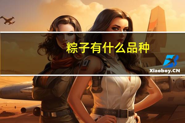 粽子有什么品种