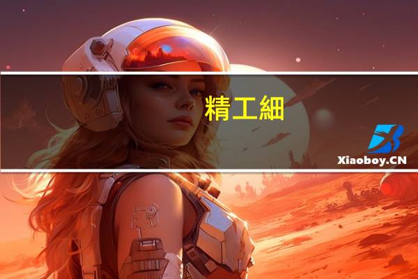 精工細(xì)活什么意思