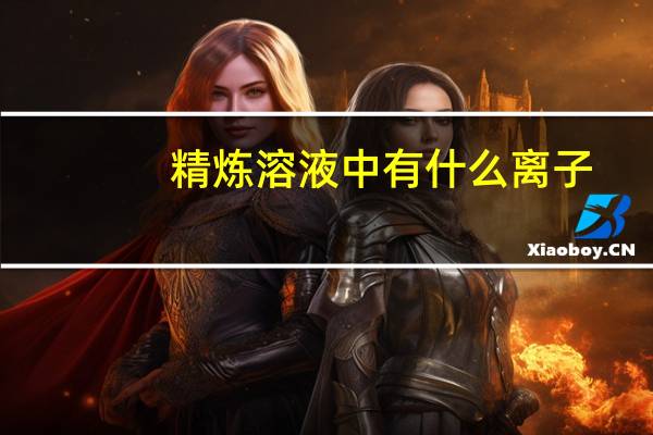 精炼溶液中有什么离子