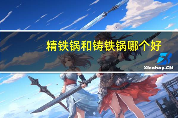 精铁锅和铸铁锅哪个好