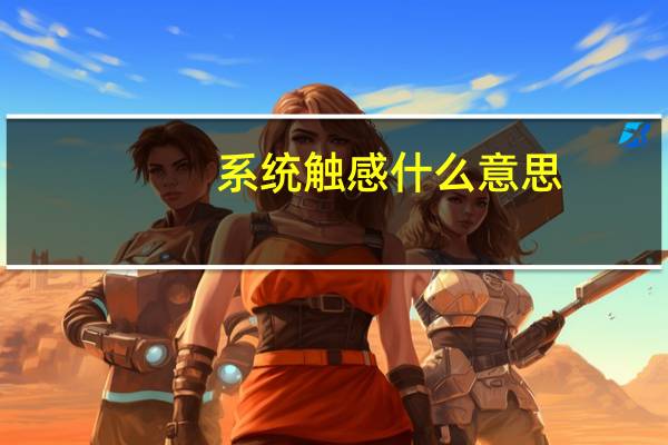 系统触感什么意思