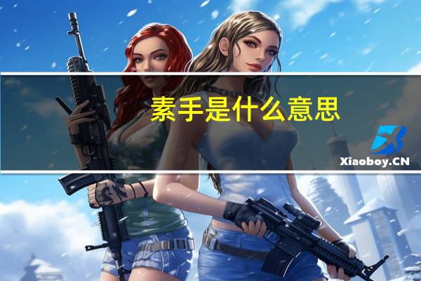素手是什么意思