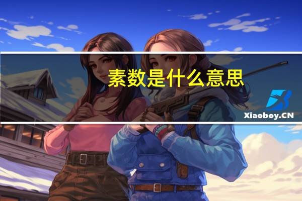 素数是什么意思?