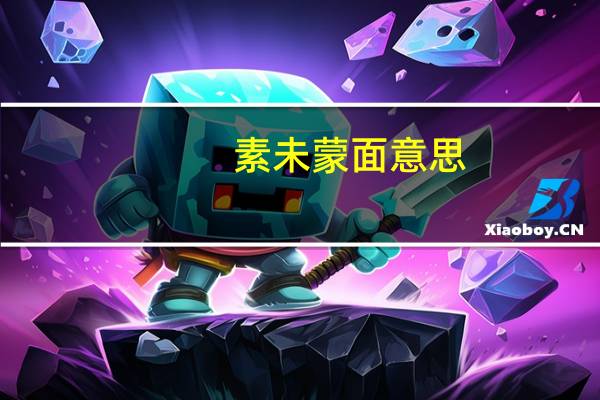 素未蒙面意思