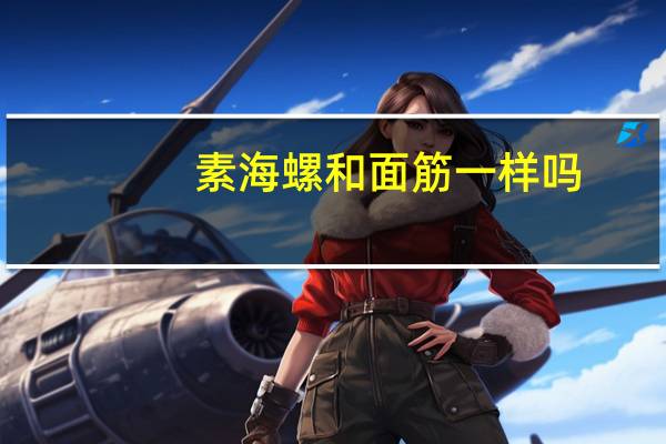 素海螺和面筋一样吗