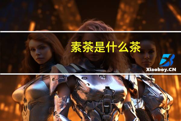 素茶是什么茶