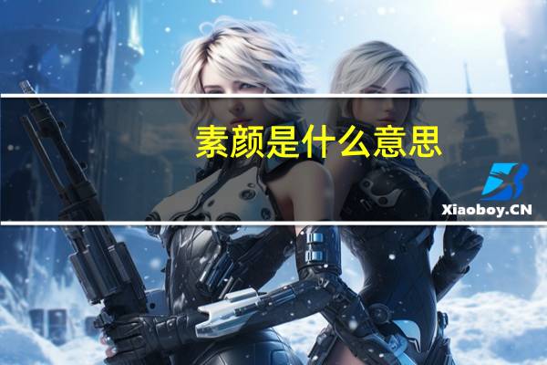 素颜是什么意思