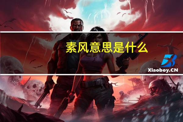 素风意思是什么