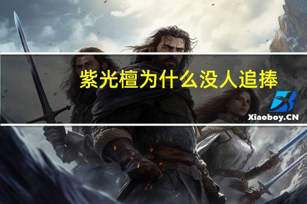 紫光檀为什么没人追捧