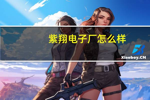 紫翔电子厂怎么样