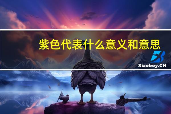 紫色代表什么意义和意思