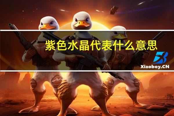 紫色水晶代表什么意思