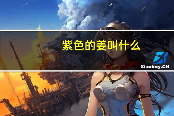 紫色的姜叫什么