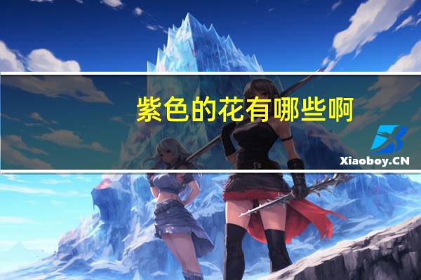紫色的花有哪些啊
