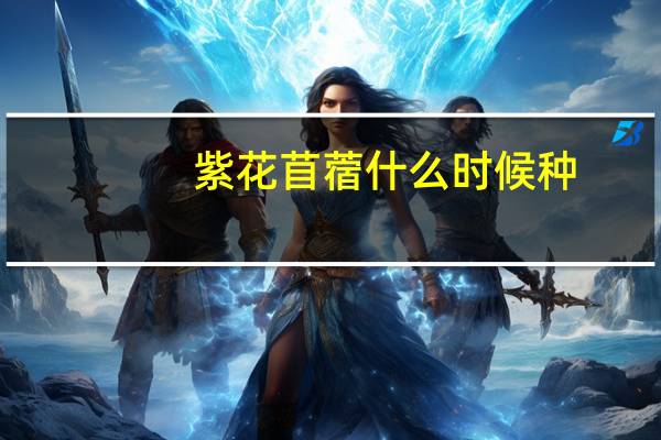 紫花苜蓿什么时候种