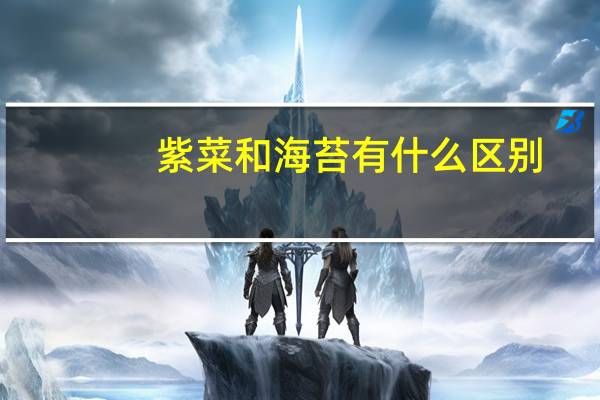 紫菜和海苔有什么区别