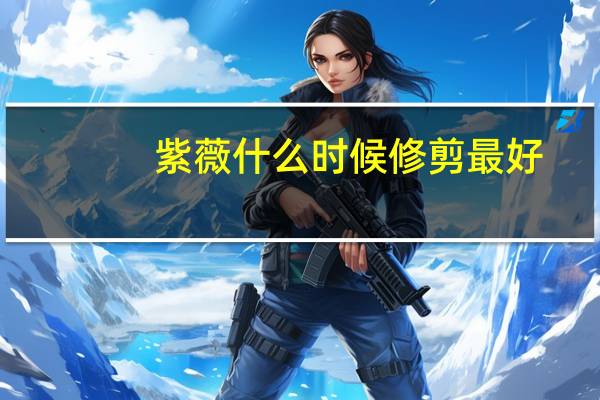 紫薇什么时候修剪最好