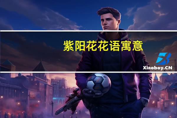 紫阳花花语寓意