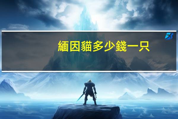 緬因貓多少錢一只