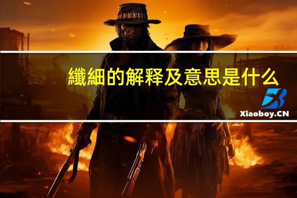 纖細的解释及意思是什么
