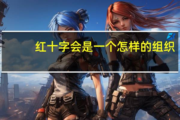 红十字会是一个怎样的组织