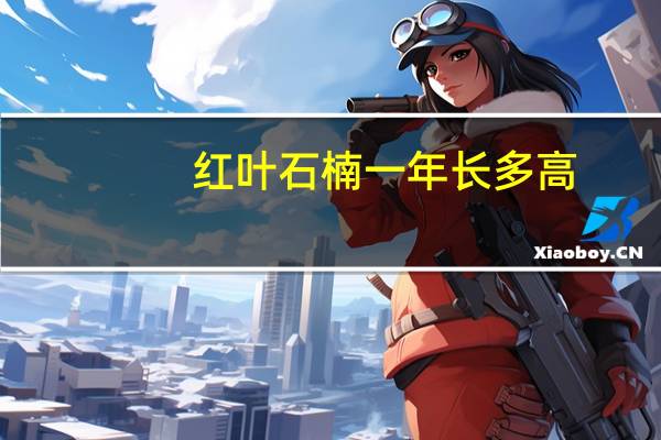 红叶石楠一年长多高
