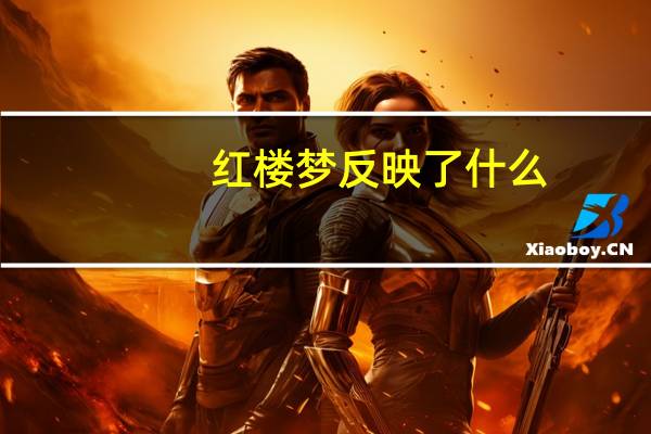 红楼梦反映了什么