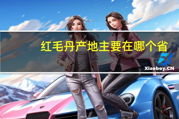 红毛丹产地主要在哪个省