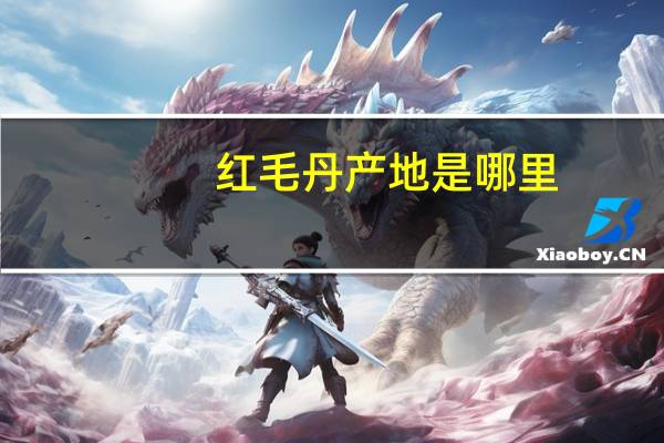 红毛丹产地是哪里