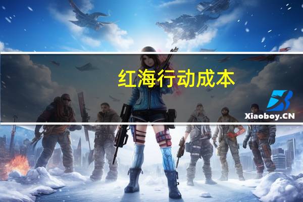 红海行动成本
