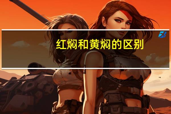 红焖和黄焖的区别