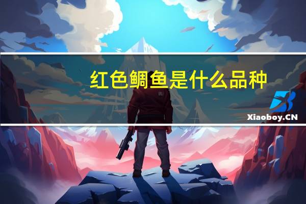 红色鲷鱼是什么品种