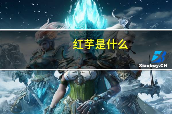 红芋是什么