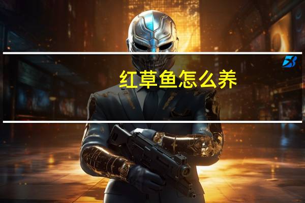 红草鱼怎么养
